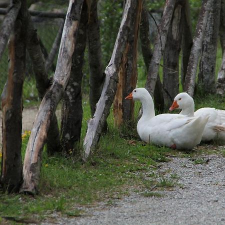 Albergo Lago Verde Пеннабіллі Екстер'єр фото